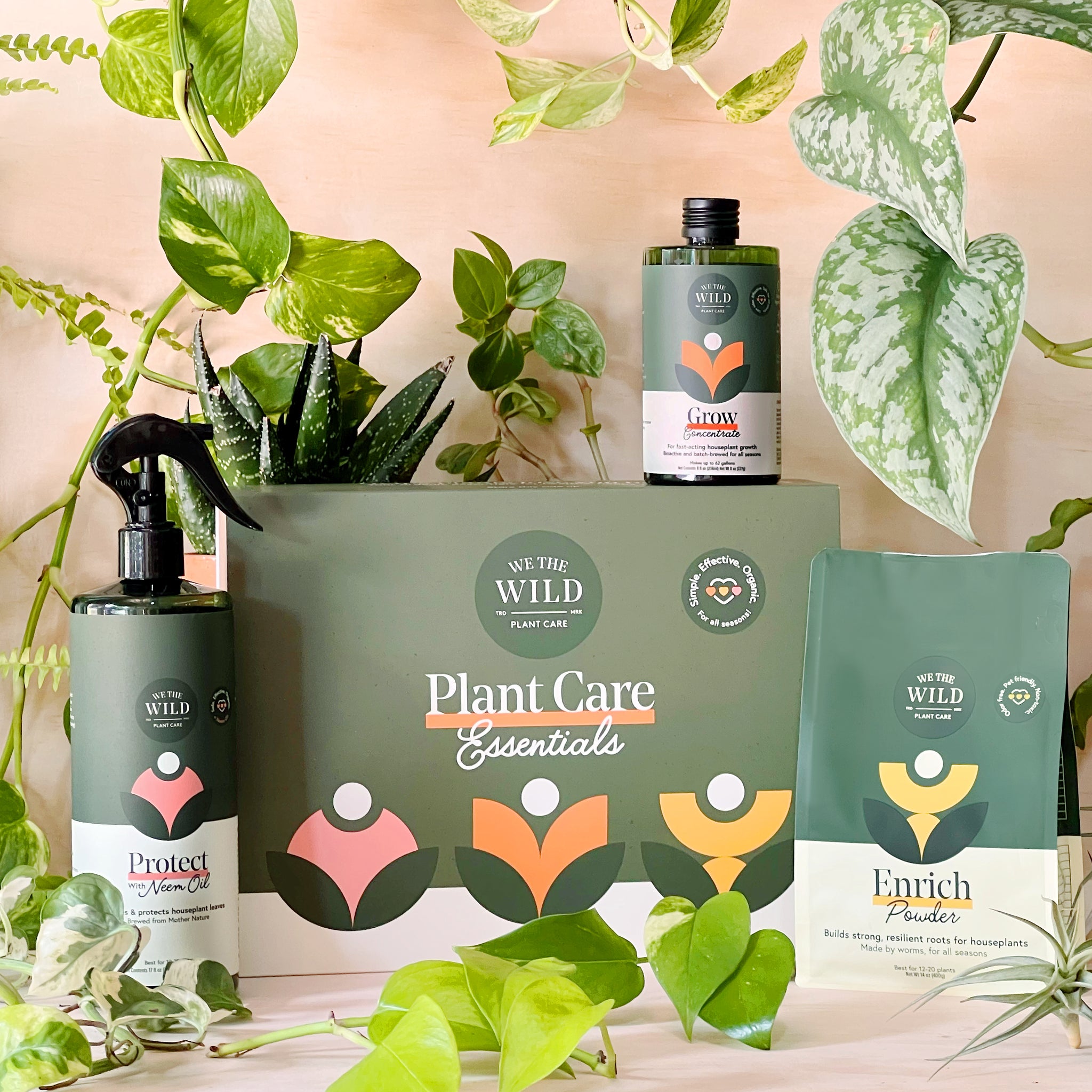 We The Wild Plant Care